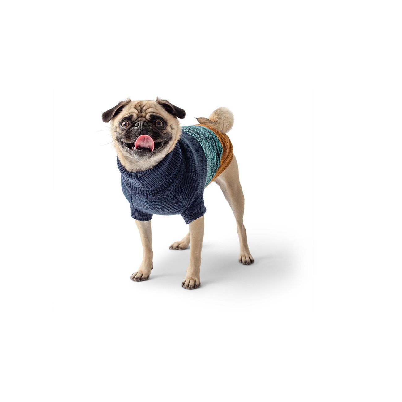 GF Pet Trail Sweater für Hunde Bild 6