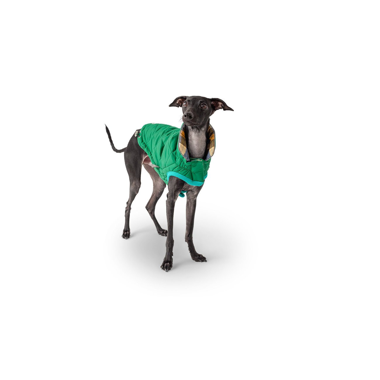 GF Pet Trailjacket Hundemantel zum Wenden Bild 3