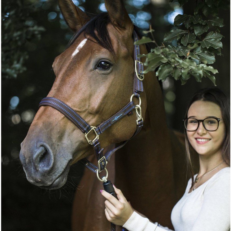 Führstrick GoLeyGo Pferd mit Adapter-Pin Bild 8