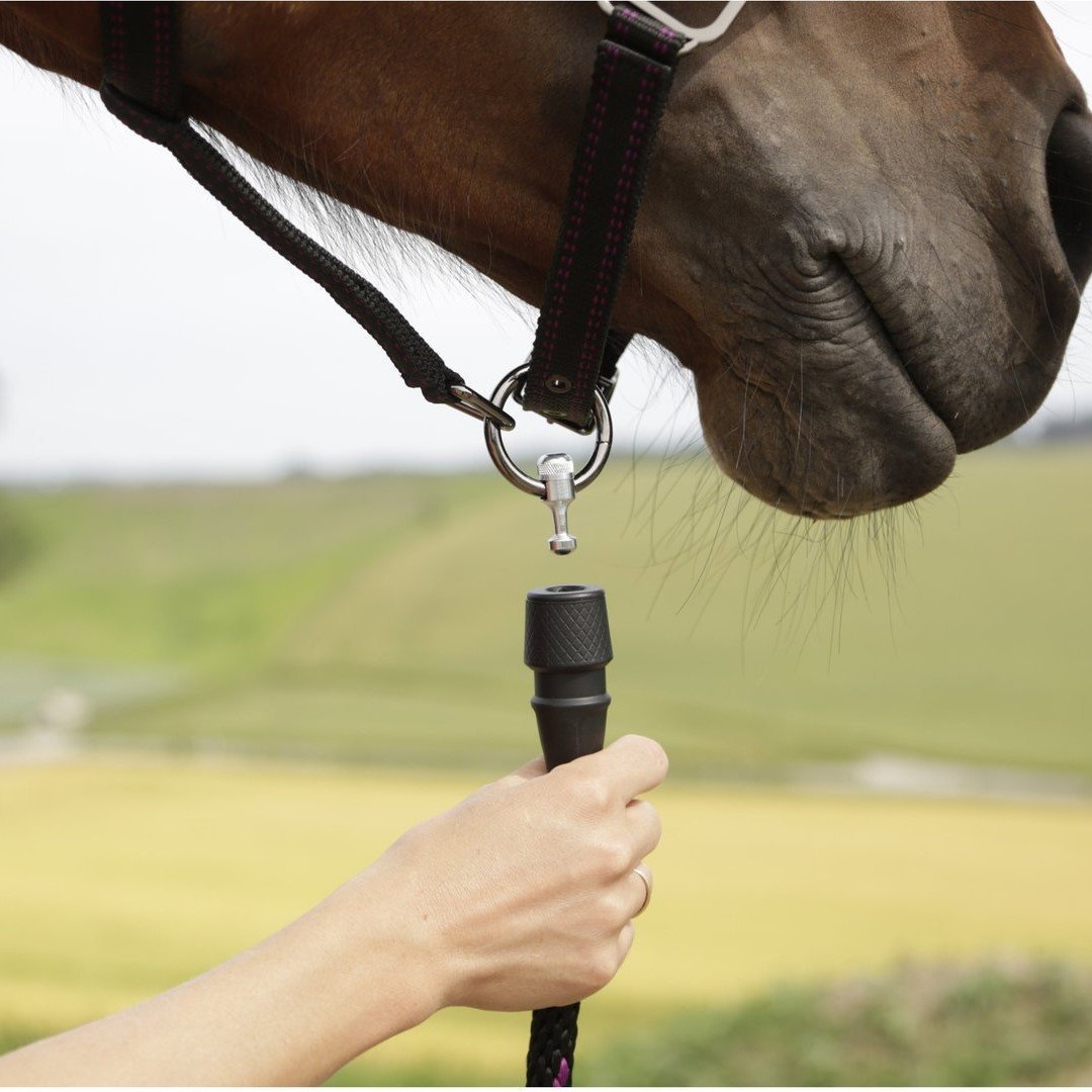 Führstrick GoLeyGo Pferd mit Adapter-Pin Bild 2