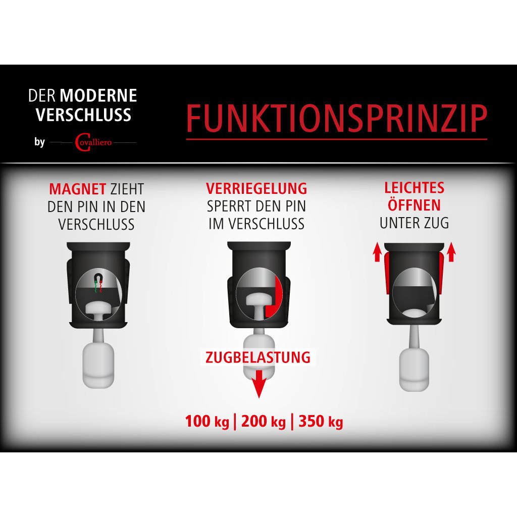 Pferdehalfter für GoLeyGo 2.0-System Bild 9