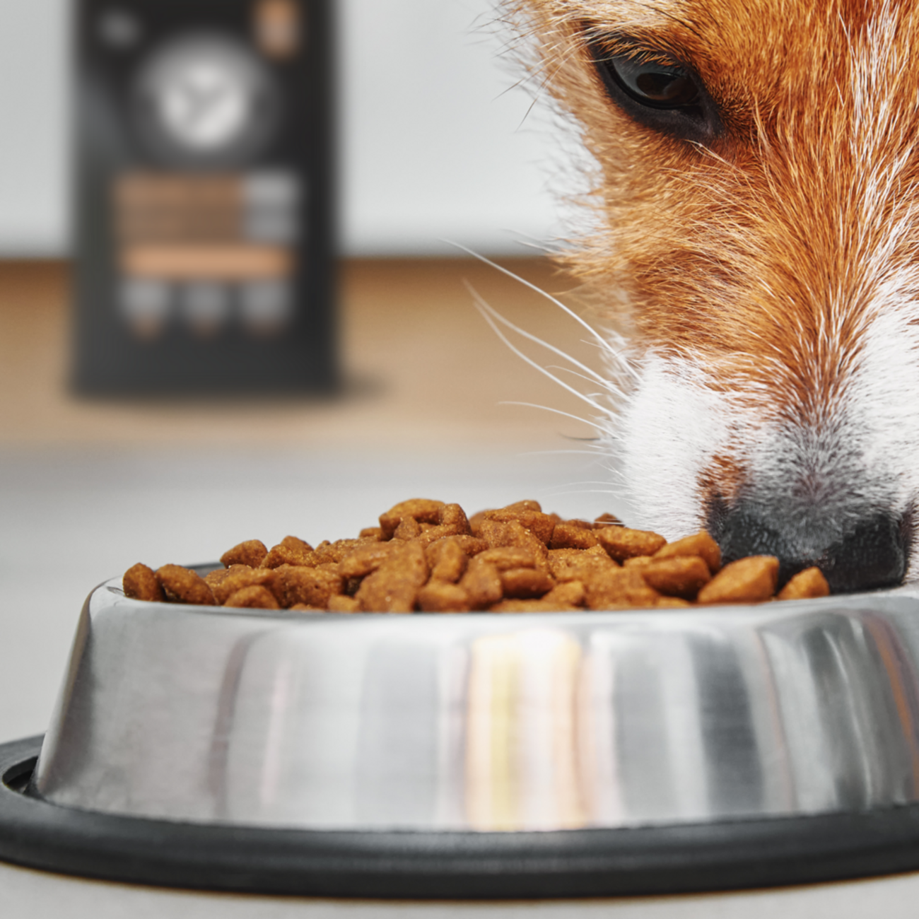 Hähnchengeschnetzeltes Mini Trockenfutter für kleine Hunde Bild 5