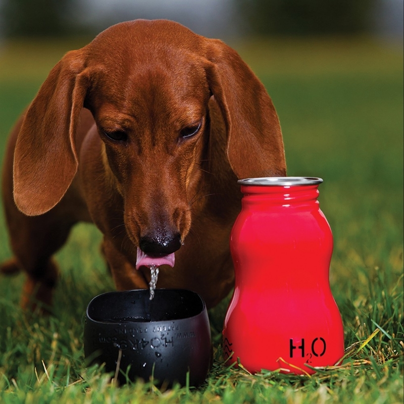 H2O4K9 Hundetrinkflasche original Bild 10