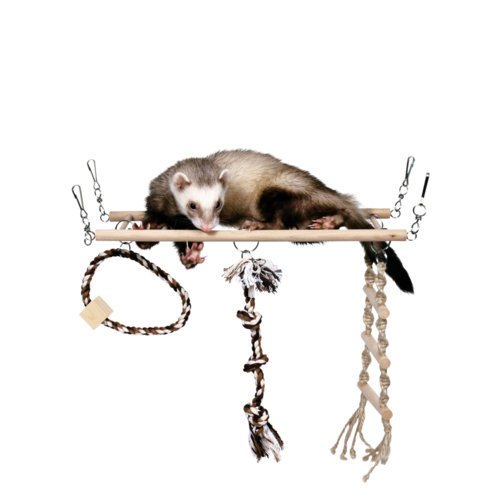 Hängebrücke für Frettchen, Ratten, Chinchillas Bild 2