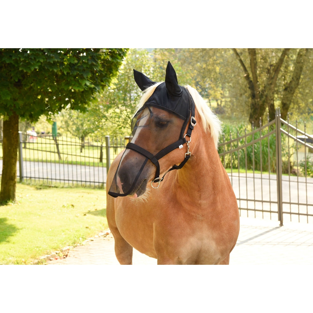 Halfter mit integrierter Fliegenschutzmaske Bild 2