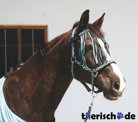 Pferdehalfter Set mit Führstrick Wave Bild 6