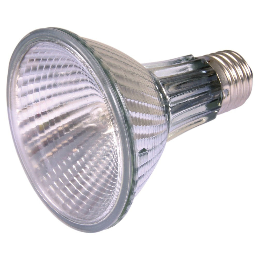 Halogen-Wärmelampe HeatSpot Pro für Terrarium Bild 5