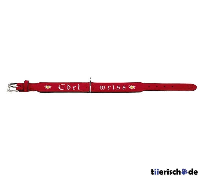Halsband Edelweiß Filz Bild 4