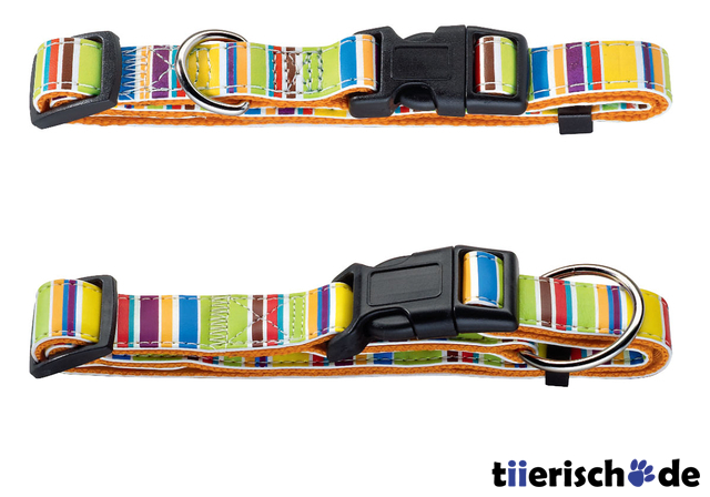 Hundehalsband Fancy Stripes Bild 1