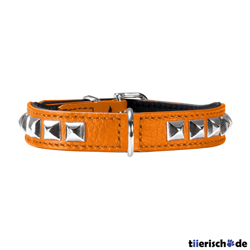 Halsband Rocky Petit für kleine Hunde Bild 2