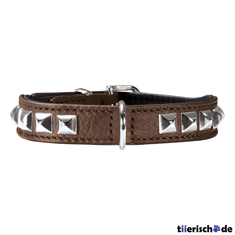 Halsband Rocky Petit für kleine Hunde Bild 4