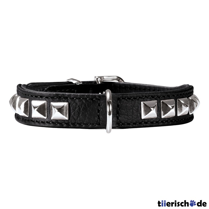 Halsband Rocky Petit für kleine Hunde Bild 5