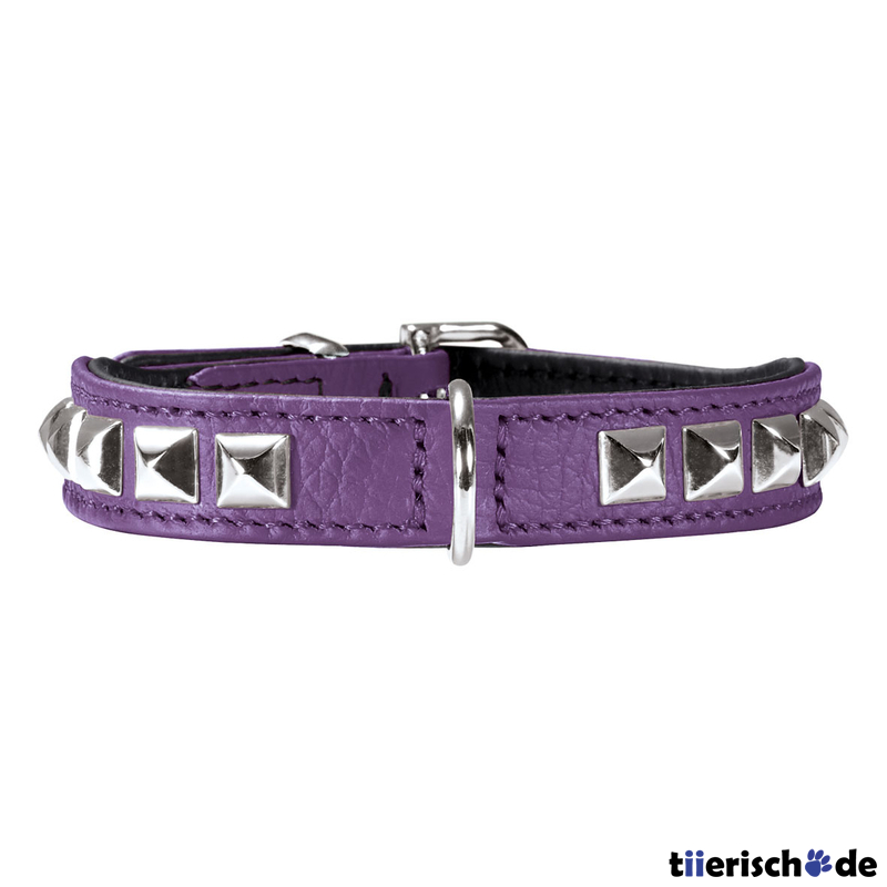 Halsband Rocky Petit für kleine Hunde Bild 6