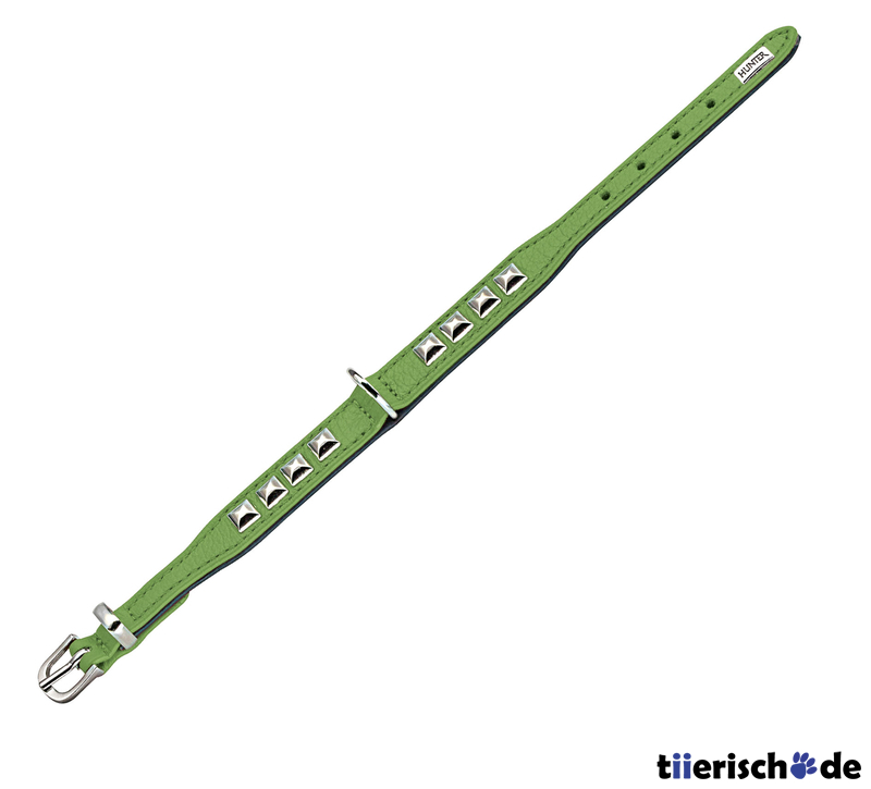 Halsband Rocky Petit für kleine Hunde Bild 10
