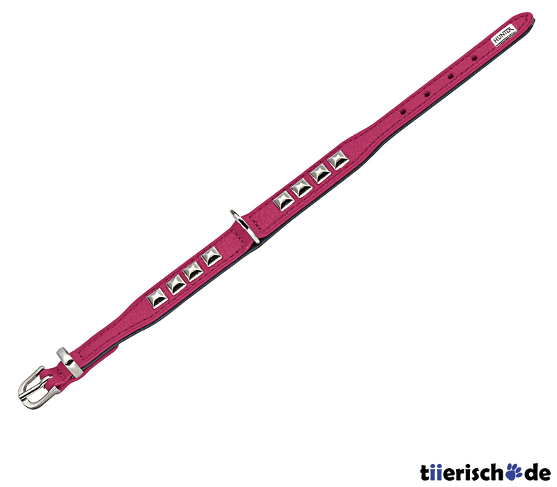 Halsband Rocky Petit für kleine Hunde Bild 11