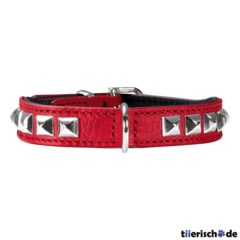 Halsband Rocky Petit für kleine Hunde Bild 9