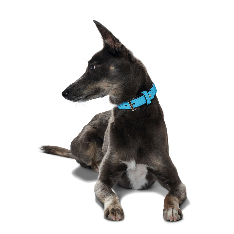 Hunter Hundehalsband Softie Kunstleder Bild 12