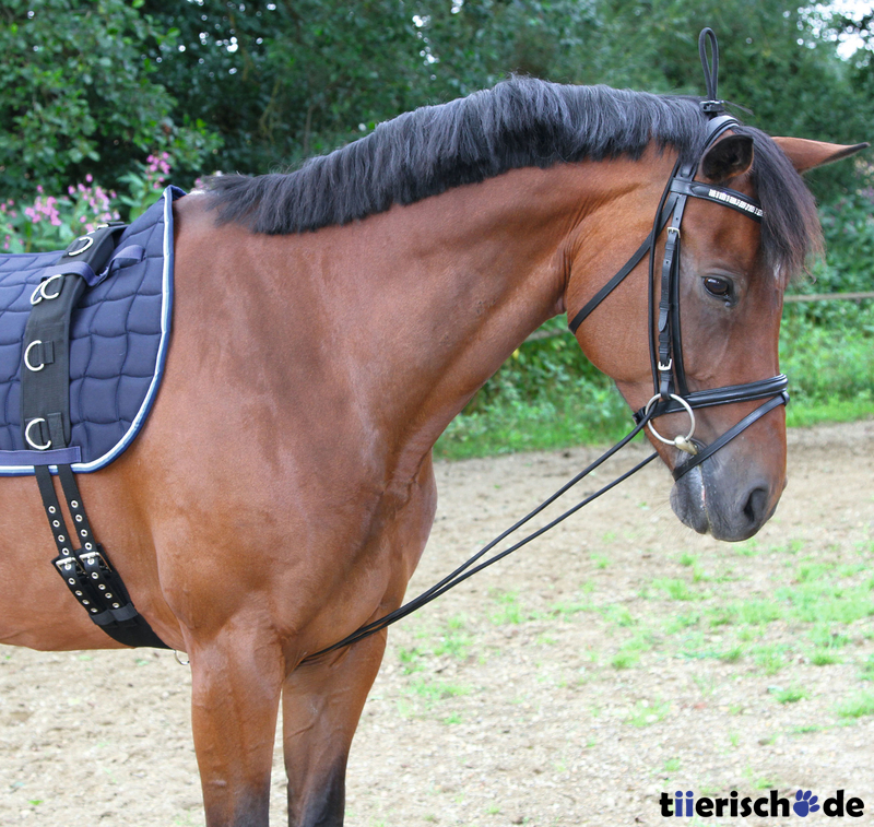 Covalliero Halsverlängerer Bild 2