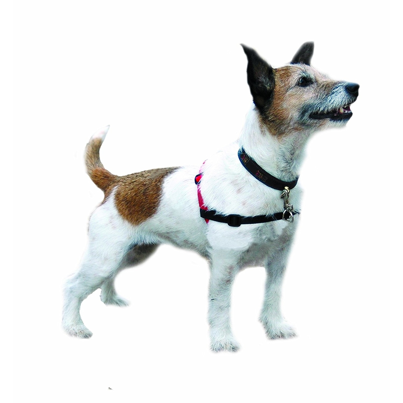 HALTI Harness Front Control Ausbildungsgeschirr für Hunde Bild 6