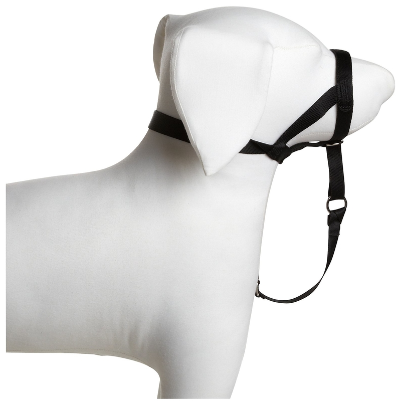 HALTI Hundehalfter Kopfgeschirr für Hunde Bild 10