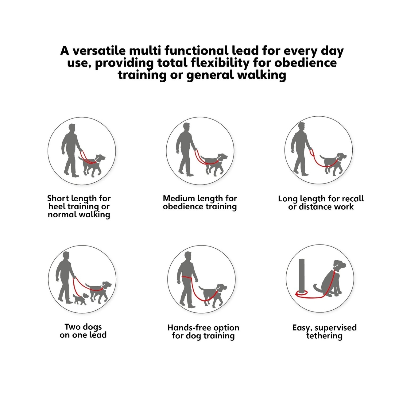 Halti Leine Training Lead Bild 7