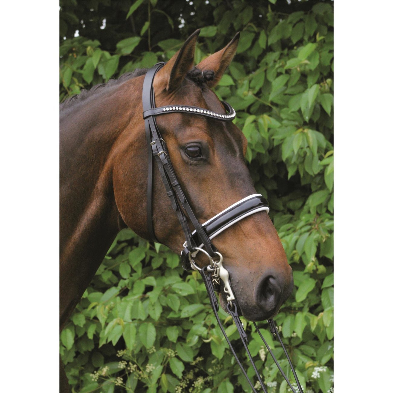 Hans Melzer Kandare Hamburg Lack Bild 5