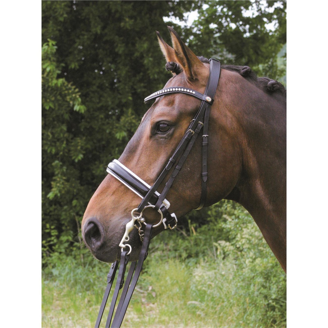 Hans Melzer Kandare Hamburg Lack Bild 6