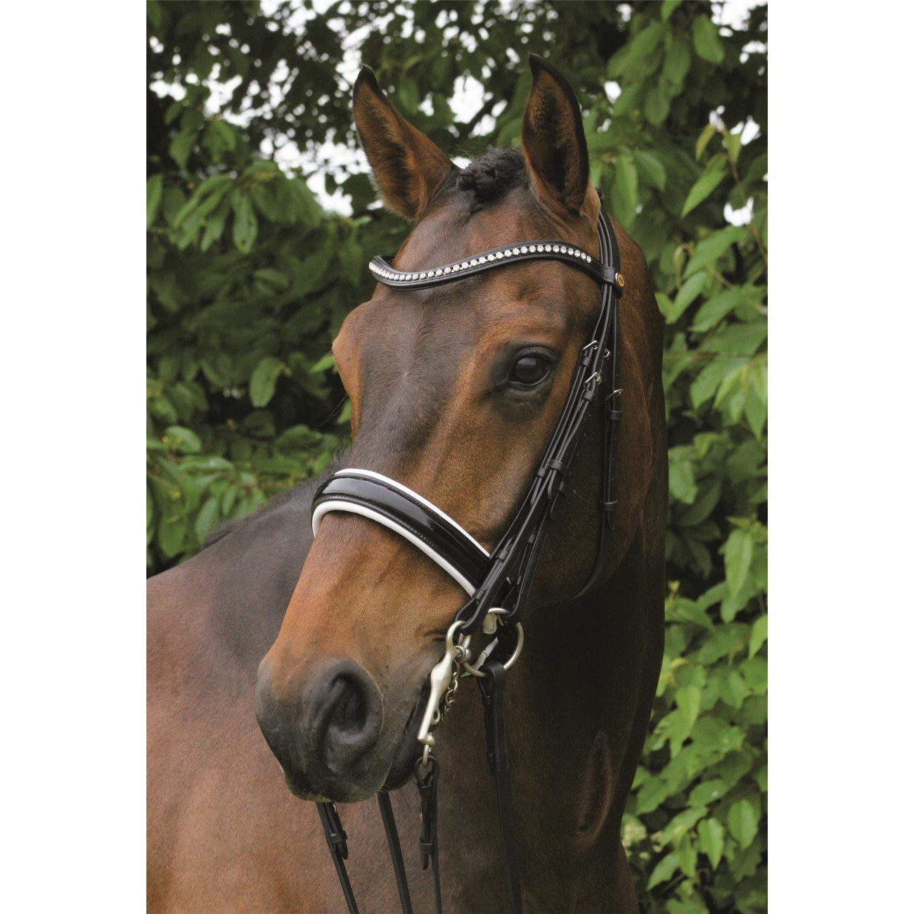 Hans Melzer Kandare Hamburg Lack Bild 2