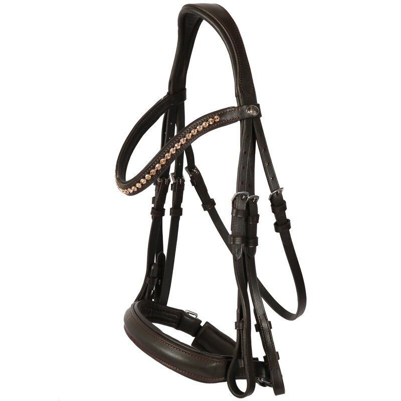 Kandare Mechtersen Bild 1