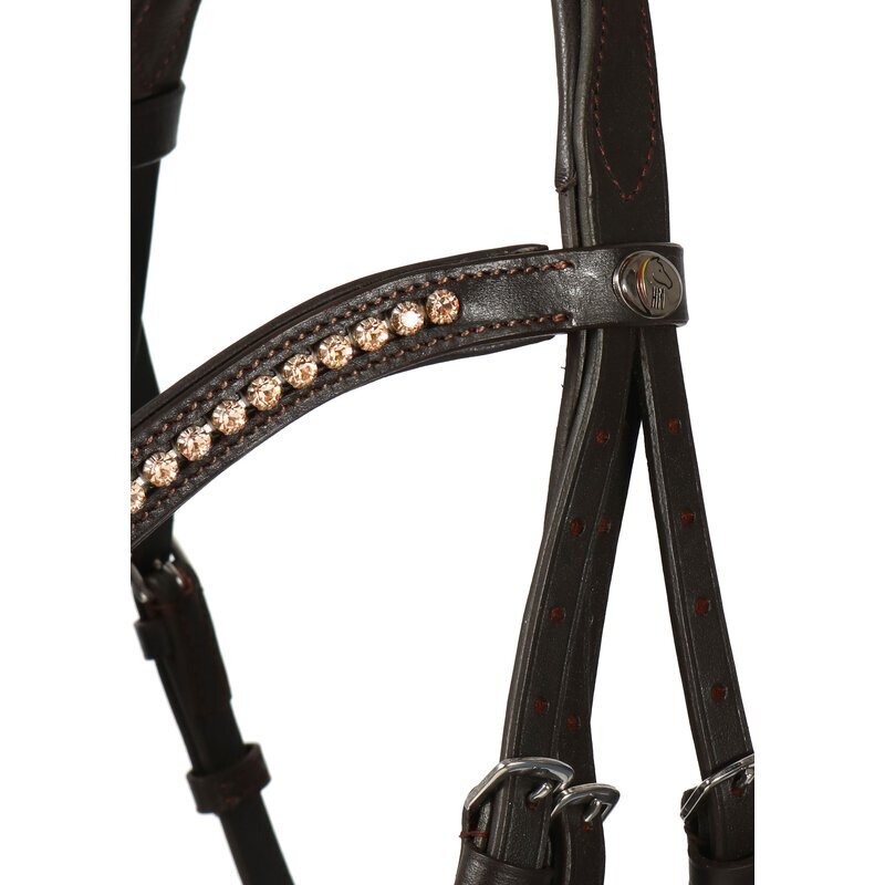 Kandare Mechtersen Bild 2