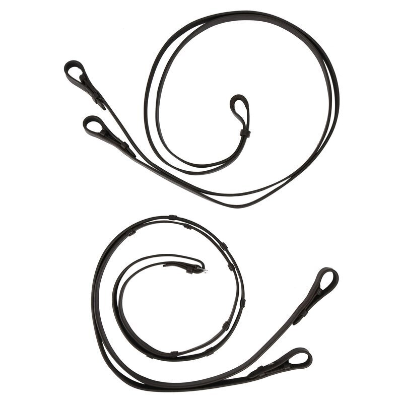 Kandare Mechtersen Bild 3