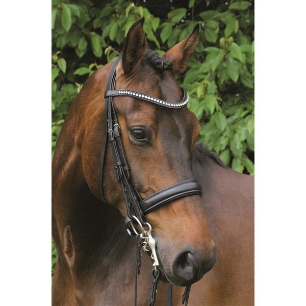 Hans Melzer Kandare Wiesbaden Bild 2