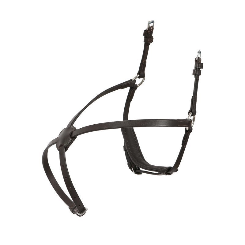 Reithalfter Mexikanisch Bild 1