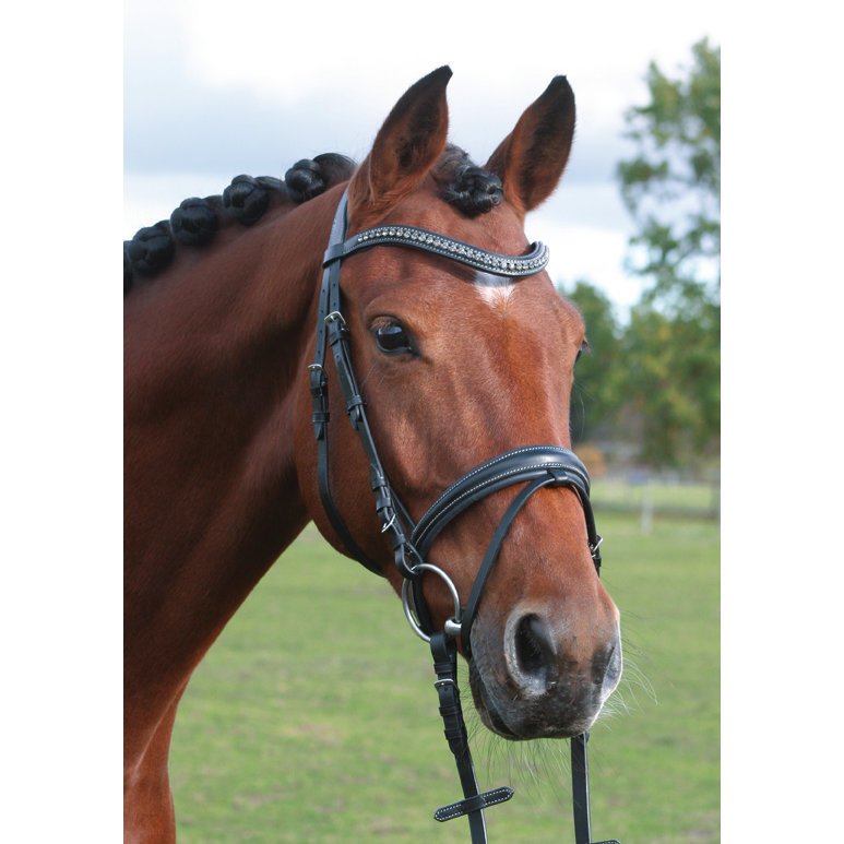 Hans Melzer Trense Badminton Bild 2