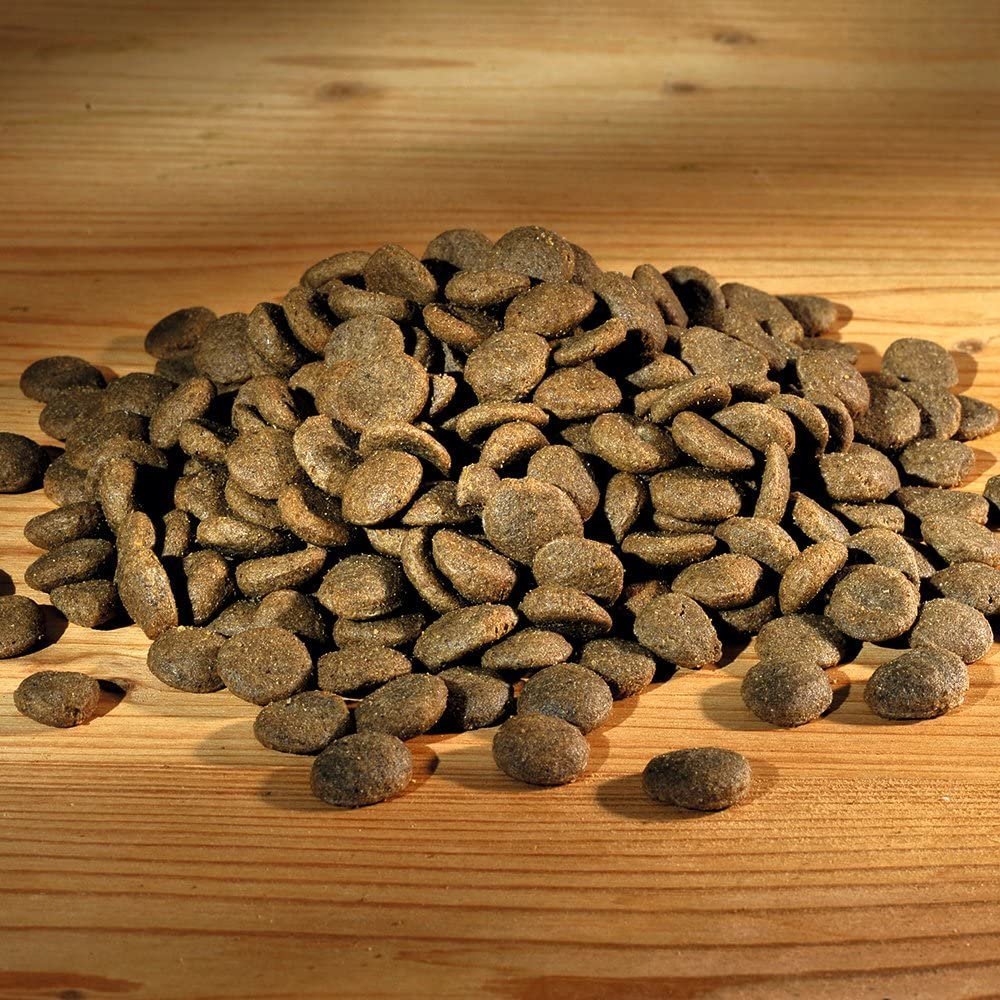 Happy Dog Supreme Sensible Karibik Bild 3