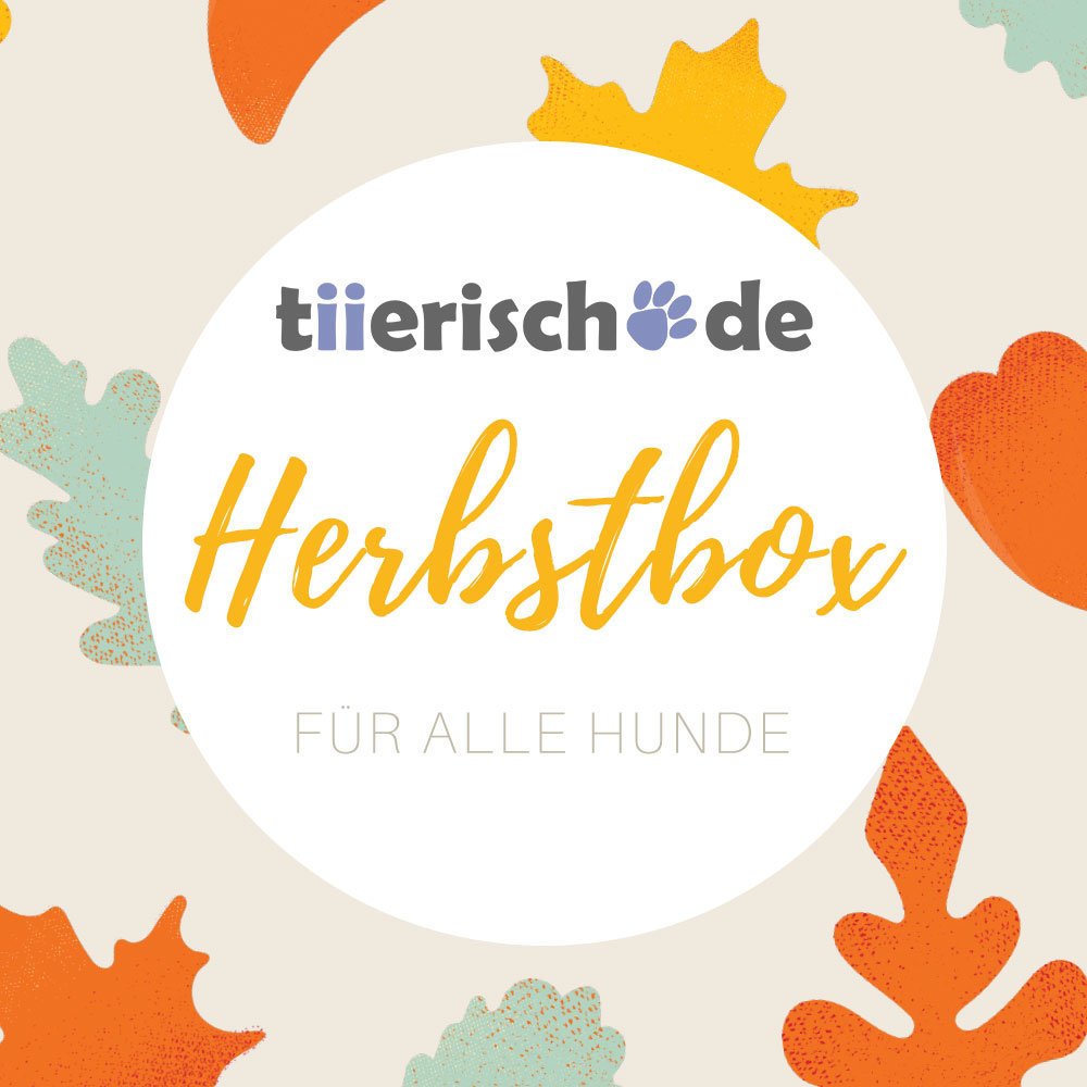 Herbstbox für Hunde Bild 1