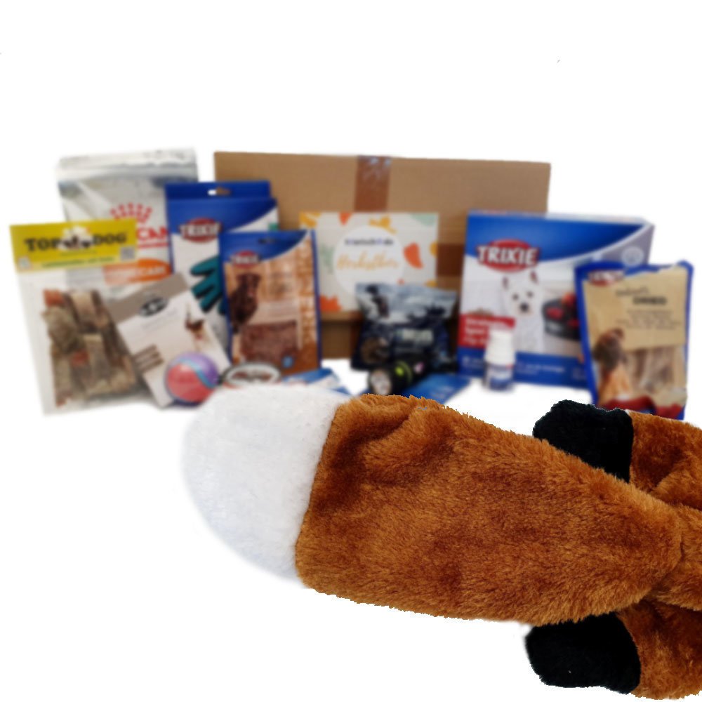 Herbstbox für Hunde Bild 2