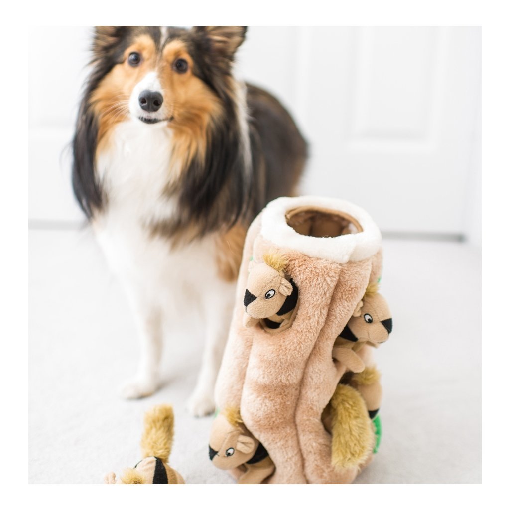 Hide-A-Squirrel Hundespielzeug Bild 4