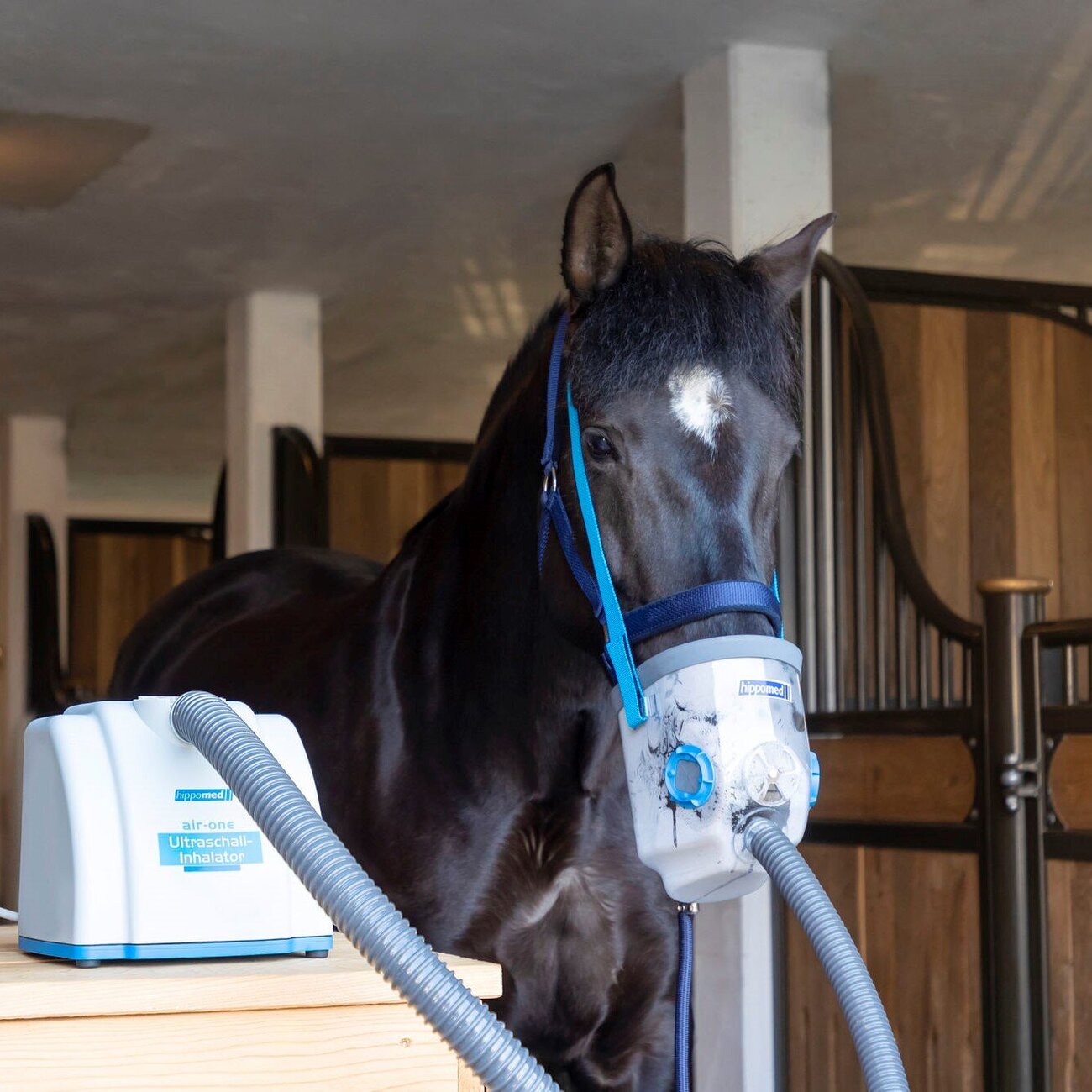 Air One Ultraschall Inhalator für Pferde Bild 2