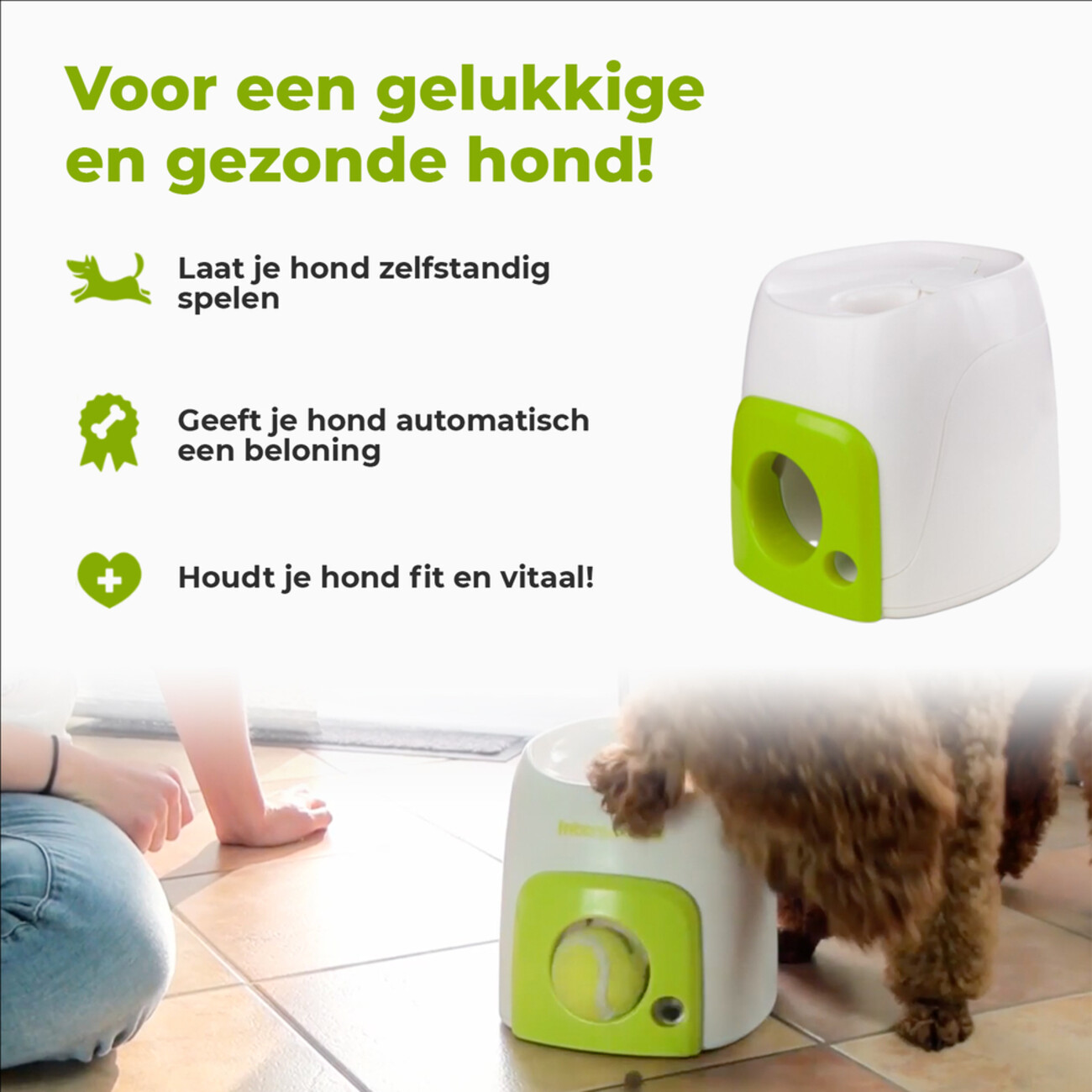 AFP Interactives Fetch'N'Treat Original Ballmaschine für Hunde Bild 4