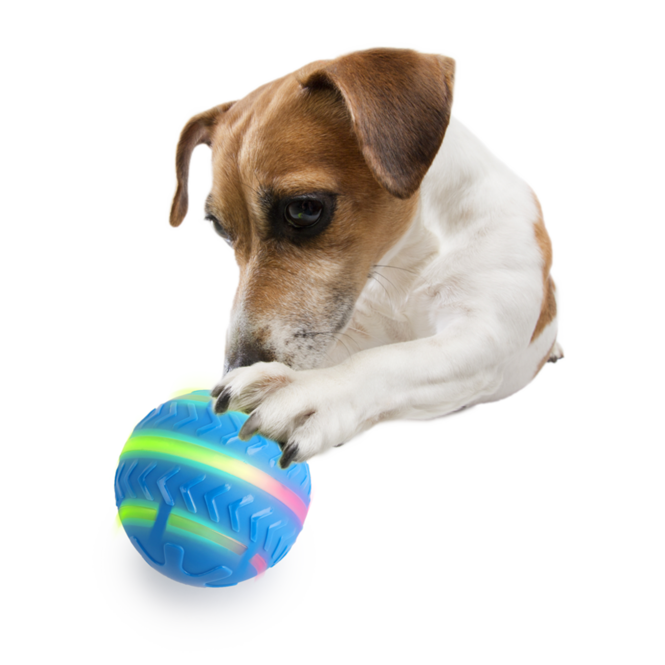 AFP Interactives Motion Activated Action Ball für Hunde Bild 4