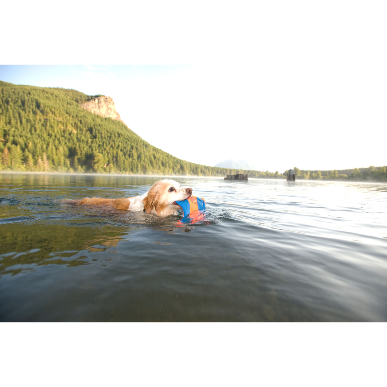 Chuckit! Flying Squirrel Bild 2