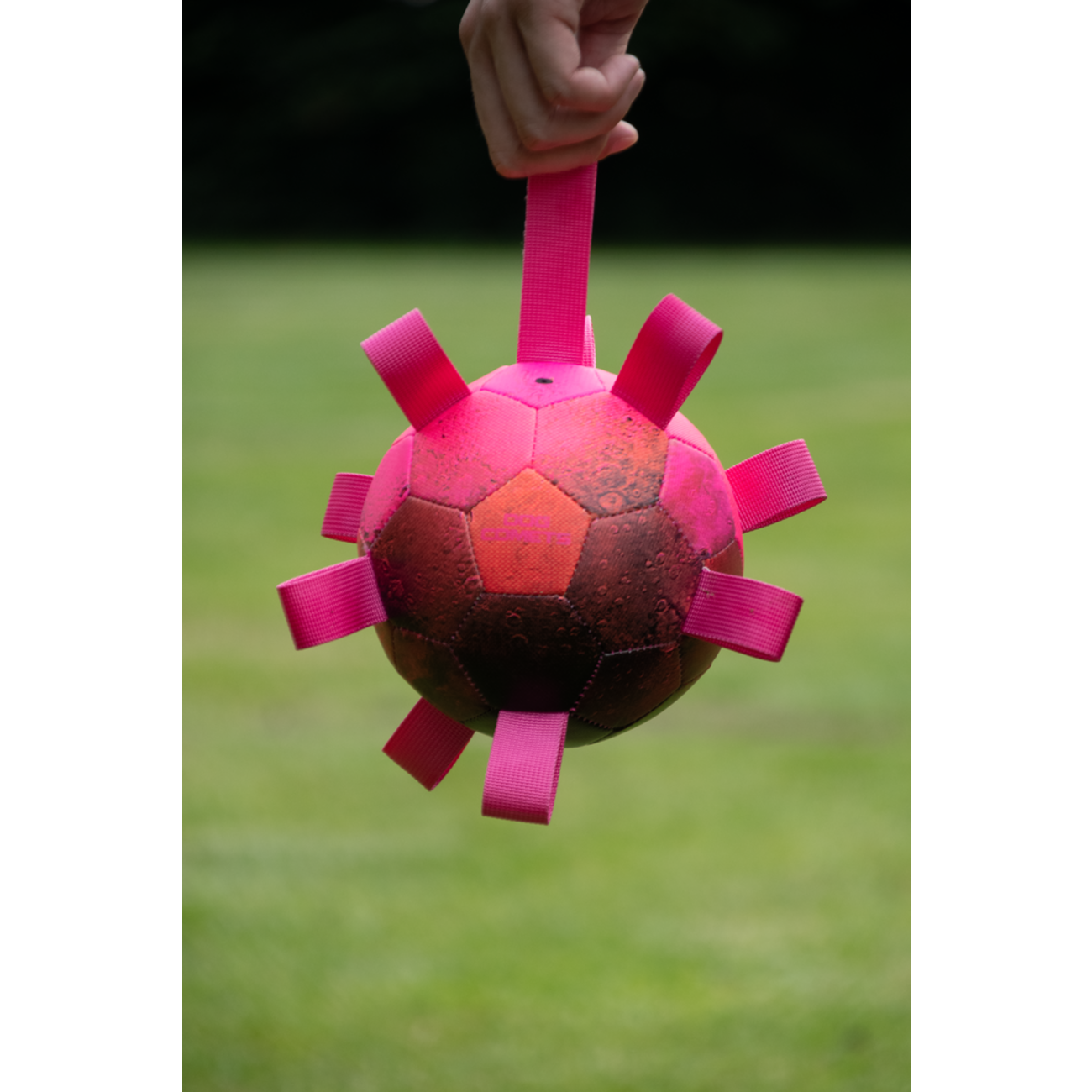 Dog Comets Hypernova Hundeball Bild 2