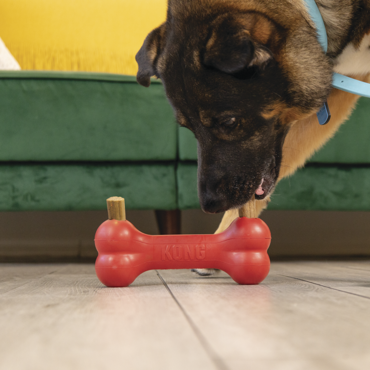 Enhanced Ziggies Kaustangen Bild 2