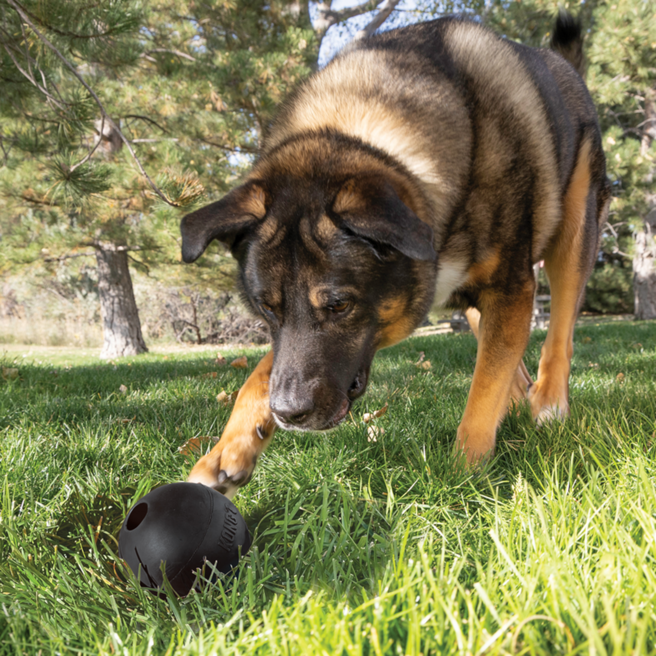 Extreme Ball mit Loch Bild 2