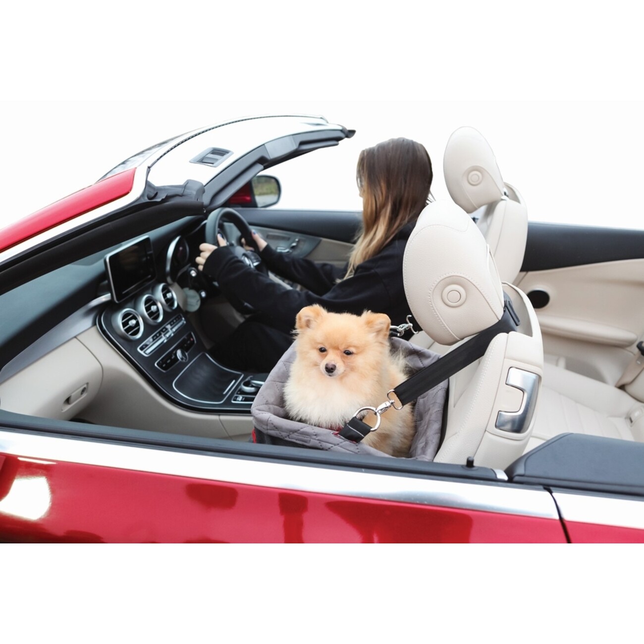 KONG Secure Booster Seat, Hunde Autositz Bild 4