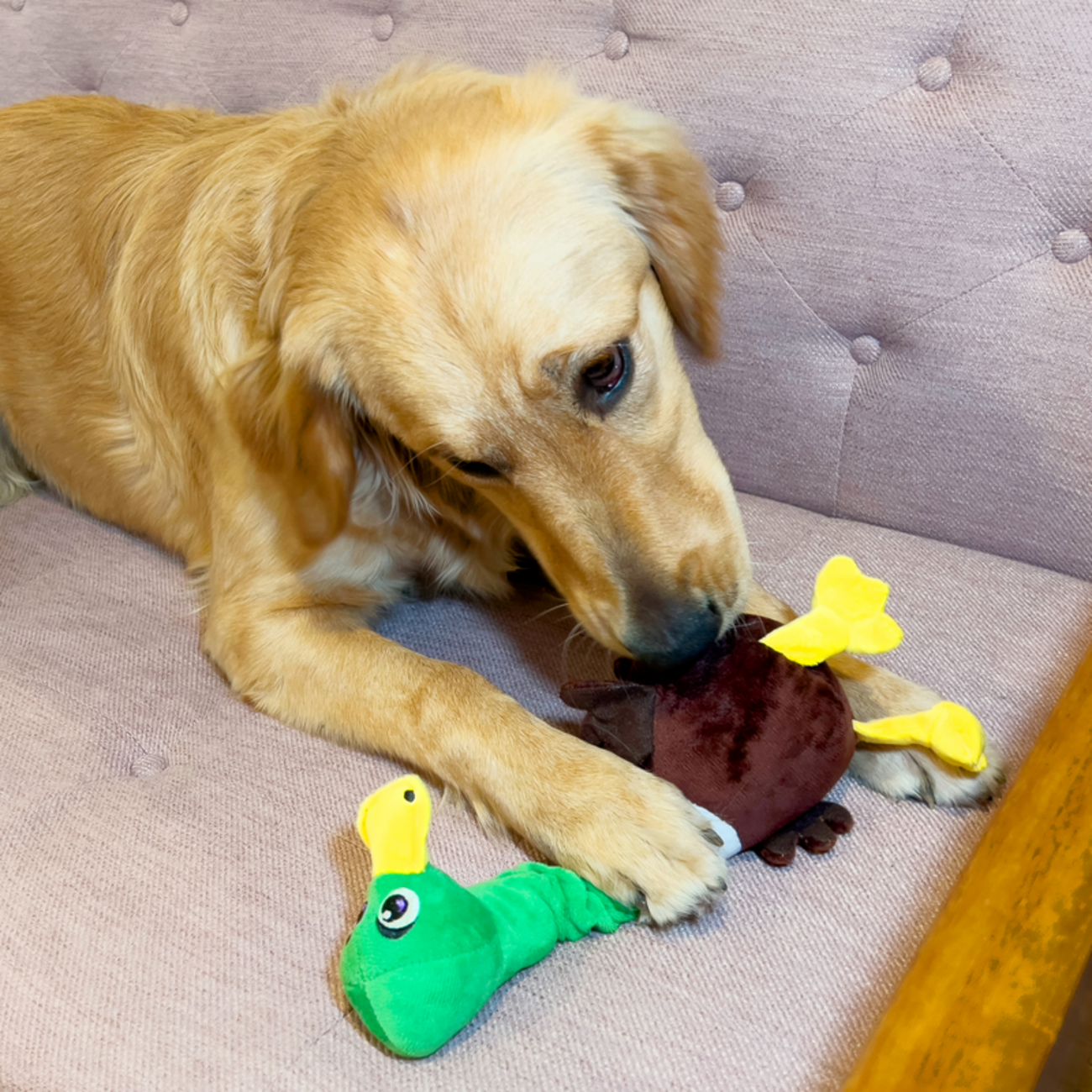 Shakers Bobz Ente Bild 2