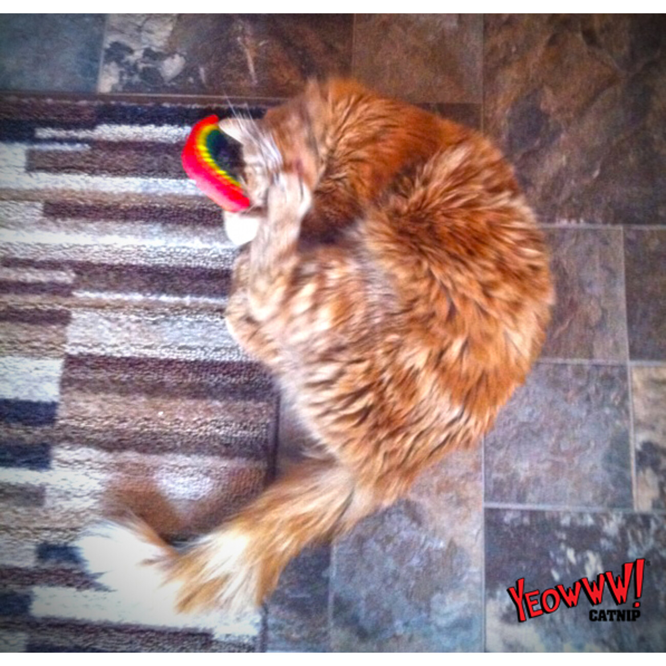 Yeowww! Rainbow Katzenspielzeug Bild 2