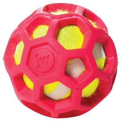 Hol-ee ProTEN Roller Tennisball für Hunde Bild 4
