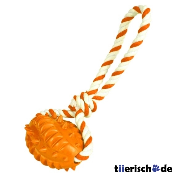 Rugby am Band Bild 2